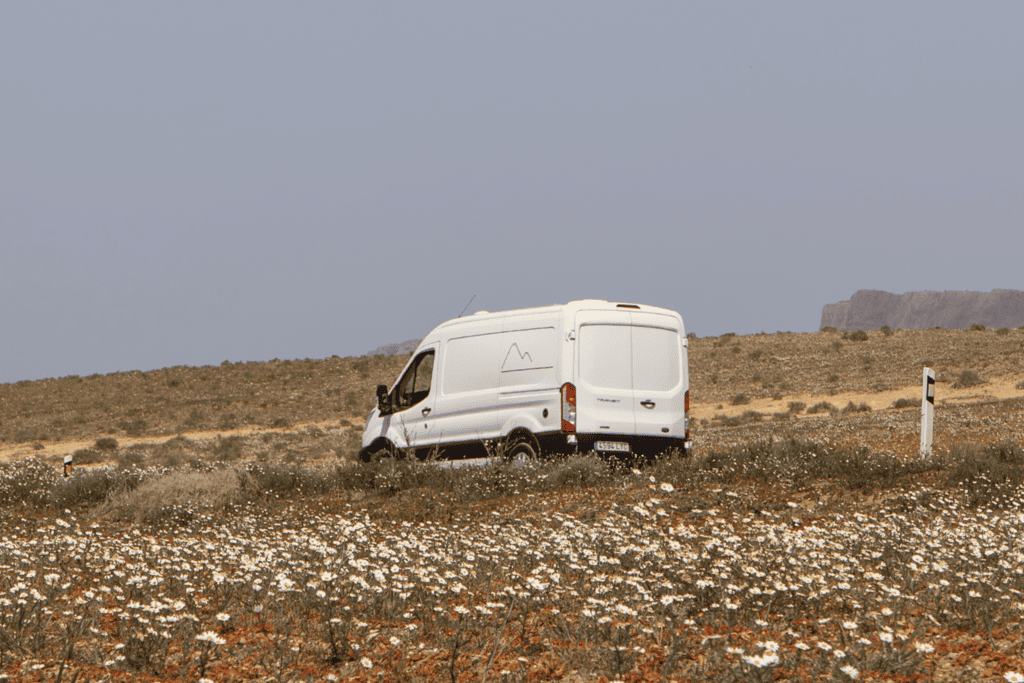 Ford Transit 1