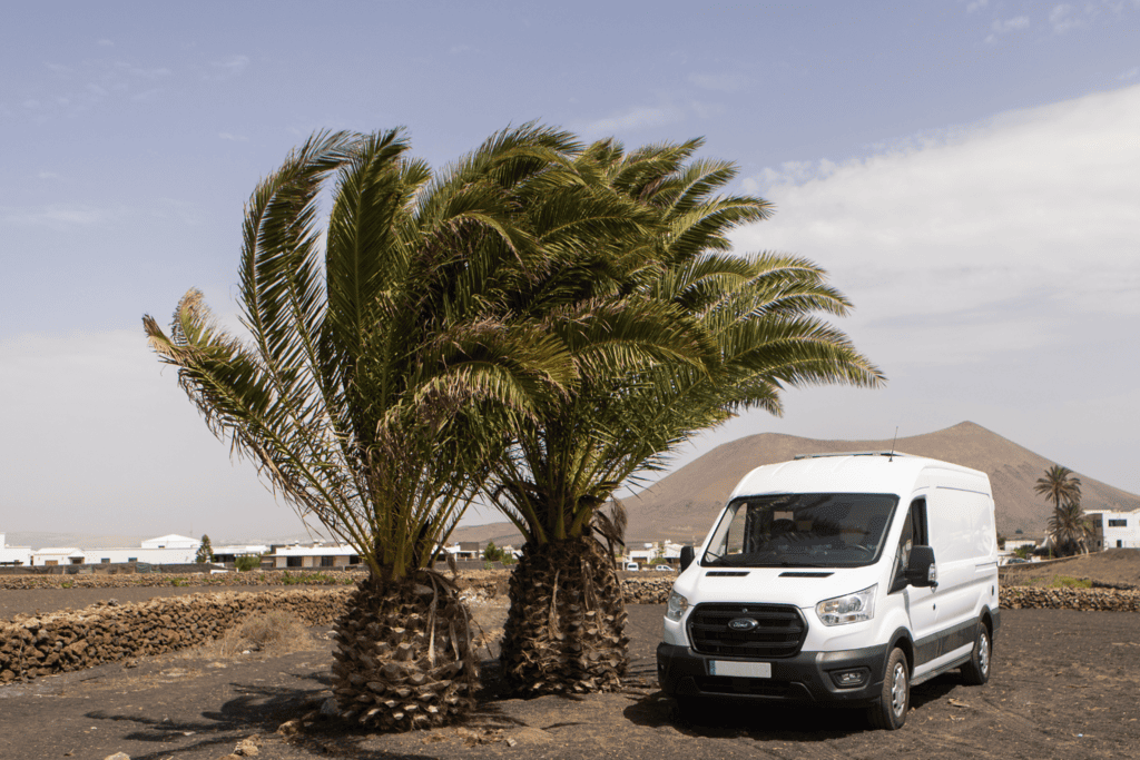 Ford Transit 2